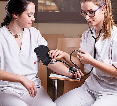 PROGRAMAS UNIVERSITARIOS