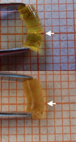 Polímero autoreparable