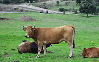 Economía y sociedad