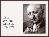 UNIDADES CURRICULARES