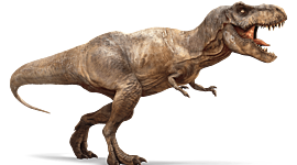 Timeline: Infografías del grupo 51