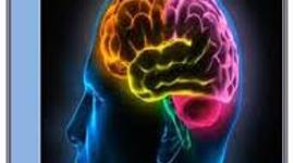 Timeline: Aportes Psicofisiológicos