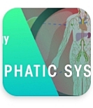 THE LYMPHATIC SYSTEM