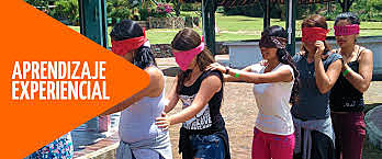 Nuevo rumbo a la función de la educación