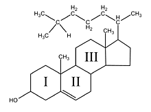 Estructura de los esteroides