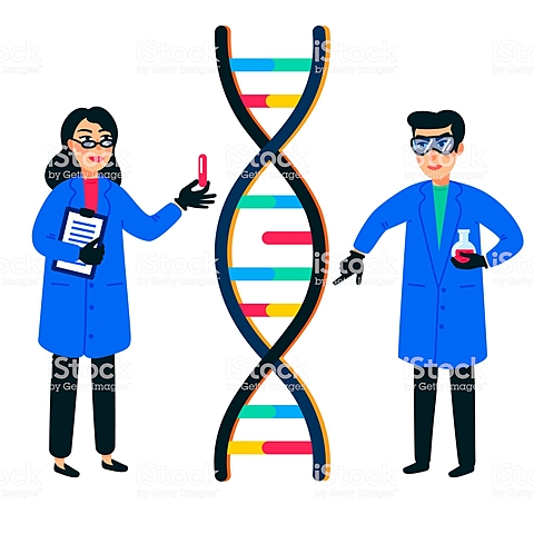 Resultados finales del proyecto Genoma Humano