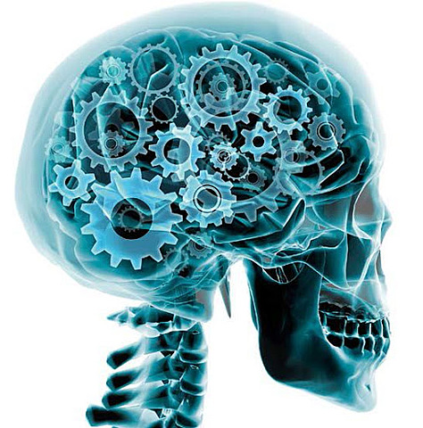 Neurofisiología (Lorente de No)