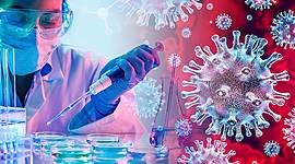 Timeline: Quarantine measures and preventive rules