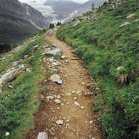 Daniel found the warrior's path