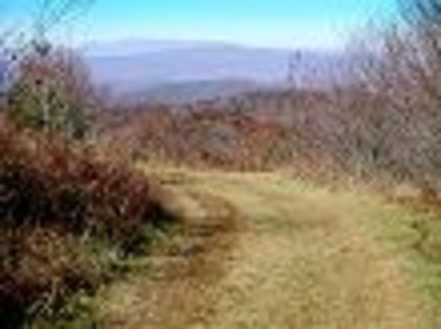 Boone was hired to work on the path