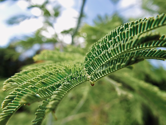 Term 2, week 11. Speaker visits.