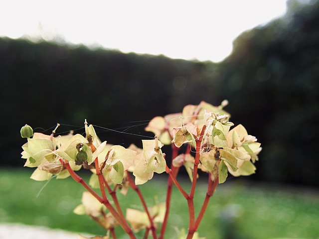 Term 3, week 1: students collect scrap paper from home and classrooms.