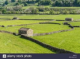 Número de vedações de terrenos 65 (de 1720 até 1740)