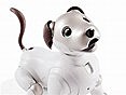 Aibo