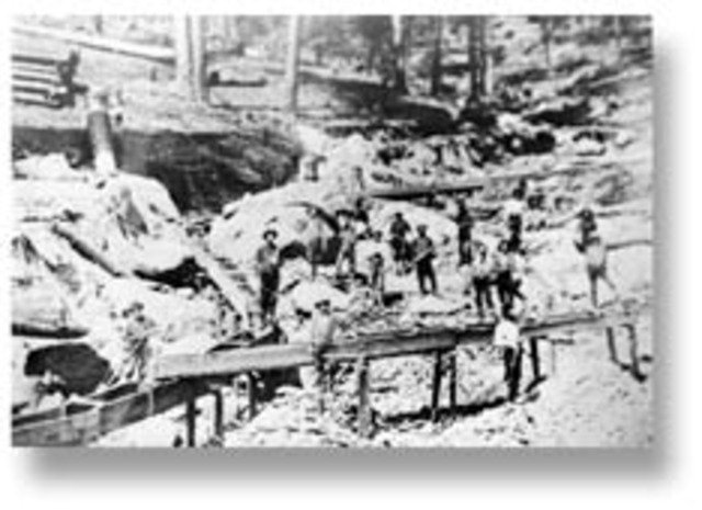 Another discovery of gold