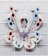 Octobot II