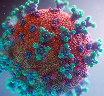 China confirms cases of pneumonia