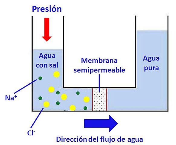 La primera membrana sintética en rechazar la sal y dejar pasar el agua.