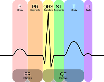 Electrocardiograma