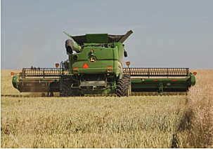 Plant based DHA omega-3 canola oil: The purpose is to develop canola seeds with the profile that includes long-chain omega-3 fatty acids