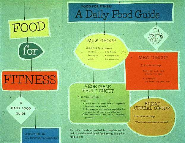 A Daily Food Guide