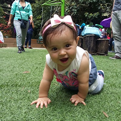 Timeline: El primer año de una aventura color Violeta...