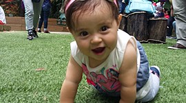 Timeline: El primer año de una aventura color Violeta...