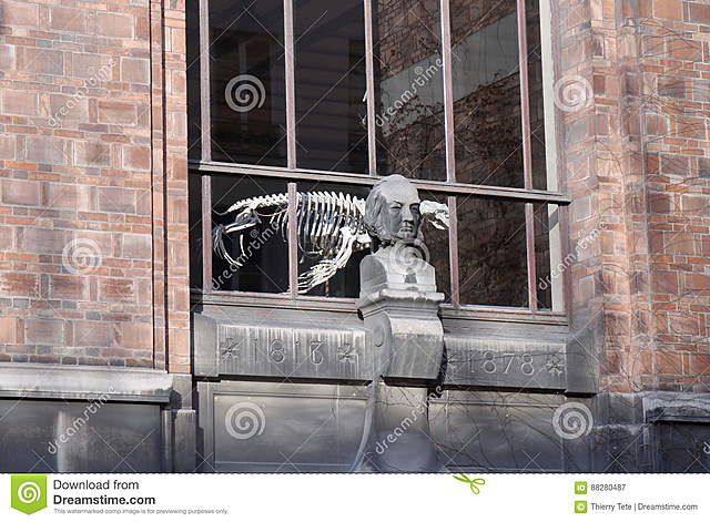 Museo de Historia Natural