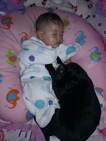 Mi hermono gatuno Oliver...