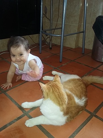 Martín, otro gran amigo gatuno...