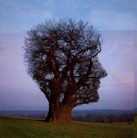 Relatório de Brundtlan