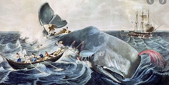 Herman Melville Joins Whaling Ship