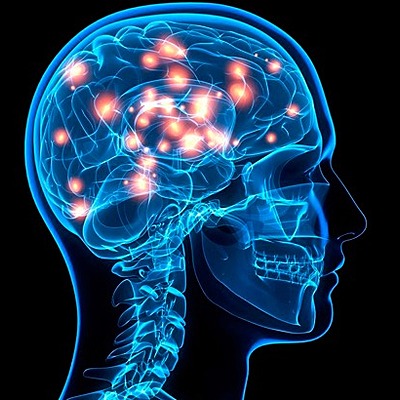 Timeline: la excitabilidad de la neurona