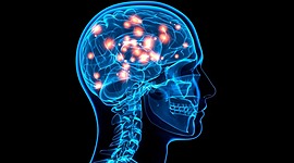 Timeline: la excitabilidad de la neurona