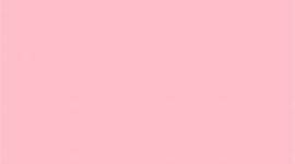 Timeline: lenguaje y comunicacion