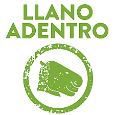 Reconstrucción de los llanos orientales