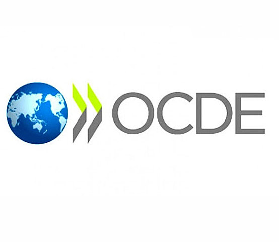 La OCDE ,(Organización para la Cooperación y el Desarrollo Económicos ) Informe Habilidades y Competencias del Siglo XXI .