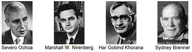Marshall W. Nirenberg / Severo Ochoa / Har Gobind Khorana / Sydney Brenner