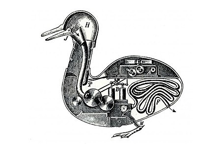 Pato con Aparato Digestivo