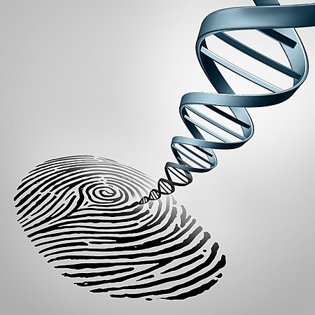 DNA Fingerprinting