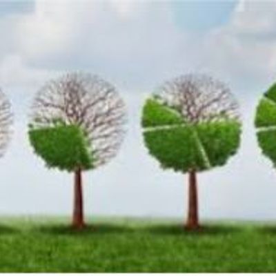 Timeline: ზაფხულის გეგმები