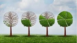 Timeline: ზაფხულის გეგმები