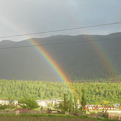 Timeline: მოგზაურობა