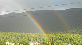 Timeline: მოგზაურობა
