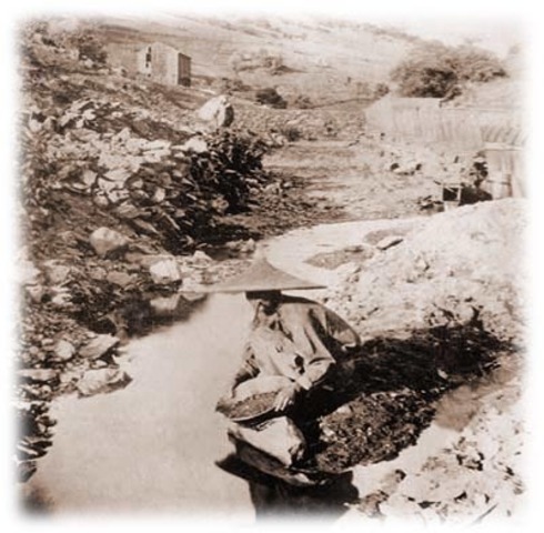 Chinese Migration to Gold Mountain