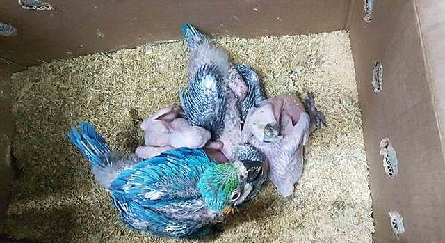 qwertyuisdfghjksdfghjk