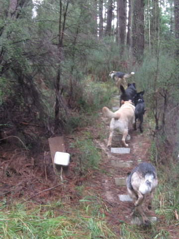 Going on an Adventure