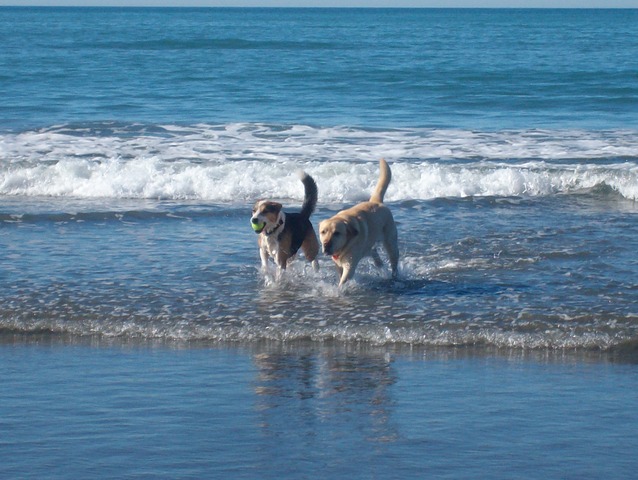 Spending Time at the Beach