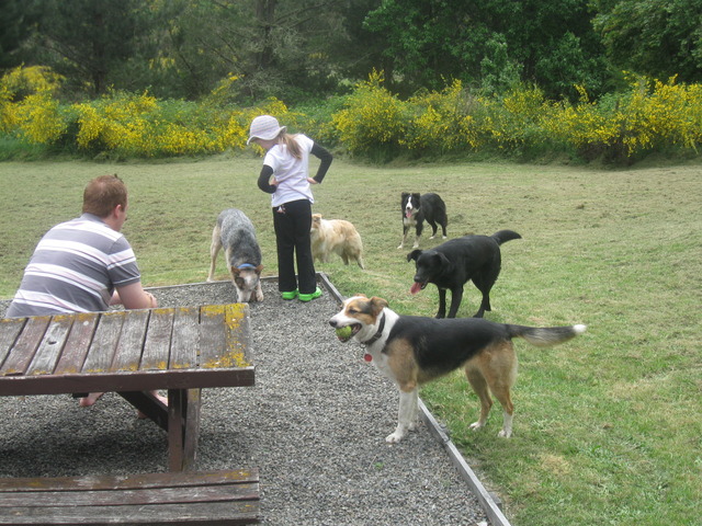 Spending Time With Friends