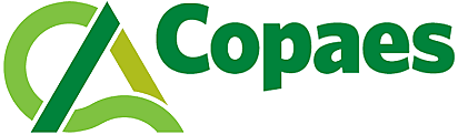 COPAES